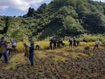 20170924_165539.jpg